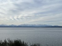 IMG_6151.jpeg