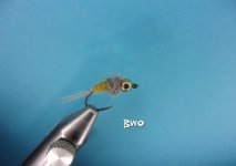BWO.jpg