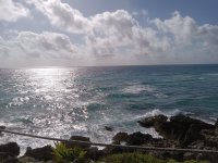 IMG_20240111_104049.jpg