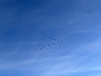 IMG_6194.jpeg