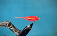IMG_3968.jpeg