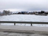 IMG_3606.jpeg