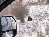 IMG_3607.jpeg