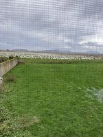 IMG_0032.jpeg