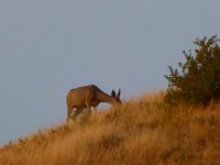 2012-09-16 17.56.14.jpg