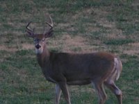 2012-09-19 18.13.17.jpg