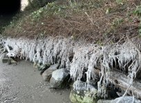 IMG_6233.jpeg