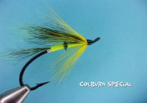 Colburn Special.jpg