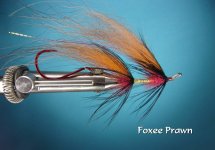 Foxee Prawn.jpg