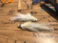 IMG_7595.jpeg