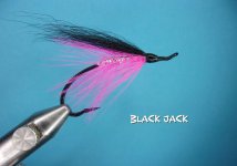 Black Jack.jpg