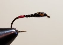 20240115_085929.jpg