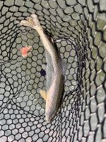 IMG_3997.jpeg IMG_3997.jpeg