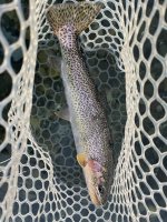 IMG_2596.jpeg