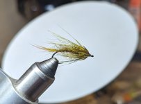 PXL_20240116_010957321.MP.jpg