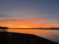 IMG_6253.jpeg