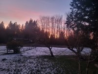 20240115_170424.jpg