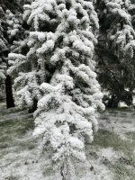 IMG_2752.jpeg