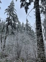 IMG_2753.jpeg