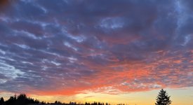 IMG_6260.jpeg