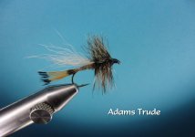 Adams Trude.jpg