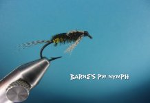 Barne's PW Nymph.jpg