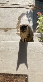 IMG_2114.jpeg