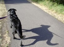 IMG_3345.jpeg