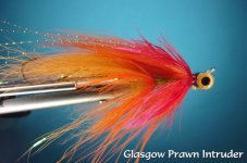 Glasgow Prawn Intrueder.jpg