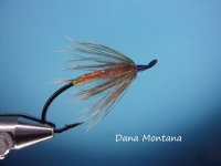 Dana Montana.jpg