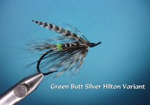Green Butt Silver Hilton Variant.jpg
