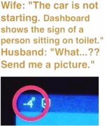 IMG_4337.jpeg