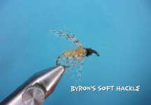 Byron's Soft Hackle.jpg