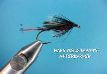 Han's Weilenmann's Afterburner.jpg
