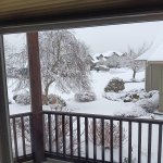 snow 2024.jpg