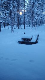 IMG_20240110_080543052.jpg