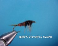 Bird's Stonefly Nymph.jpg