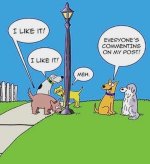 FB_IMG_1705593096137.jpg