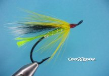 Cooseboom.jpg