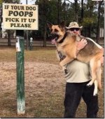 Dog.jpg
