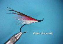 Coho Simmons.jpg
