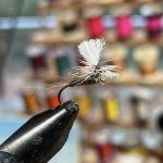IMG_5344.jpeg