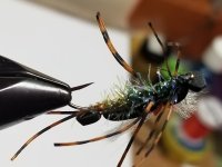 20240120_174944.jpg 20240120_174944.jpg