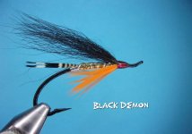 Black Demon.jpg