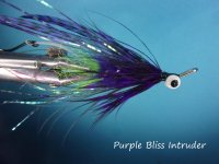 Purple Bliss Intruder.jpg