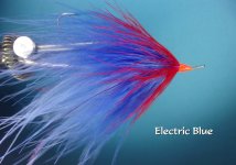 Electric Blue Intruder2.jpg