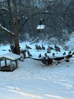 IMG_3827.jpeg