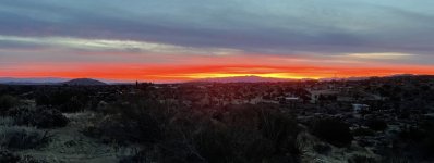 IMG_6984.jpeg