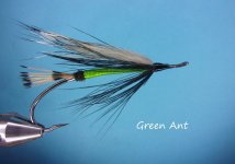 Green Ant.JPG