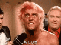 ogvhs-woo.gif